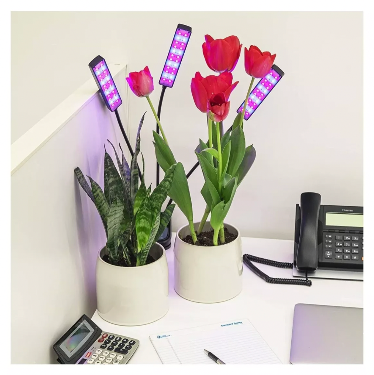 Lámpara Indoor Led Para Cultivos De Plantas Potente